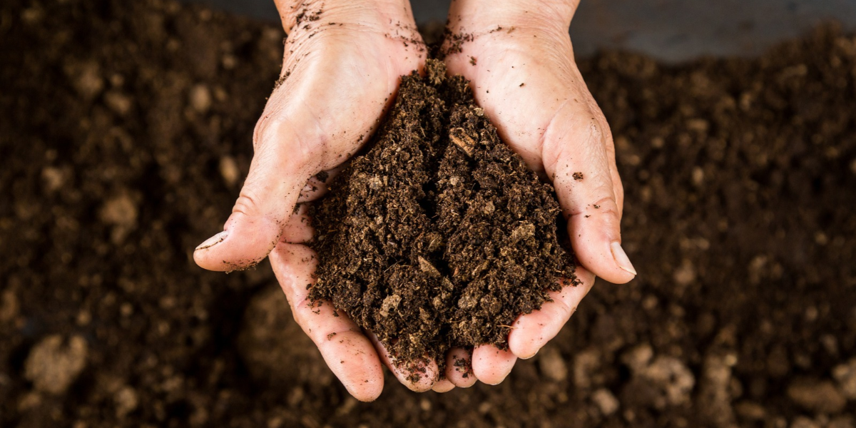 Handful of soil